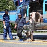岐阜県警で嘱託警察犬広域搬送等訓練を実施