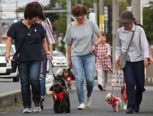 滋賀県甲賀署で犬のおまわりんさんパトロール開始