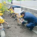 北海道留萌署が園児と一緒にひまわりの種植える
