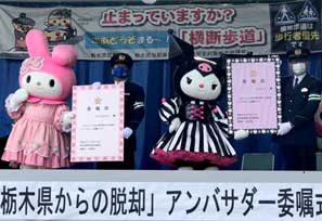  栃木県警が「マイメロ」「クロミ」を歩行者優先のアンバサダーに委嘱