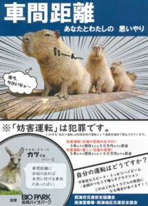 長崎県西海署が動物園とコラボした交通安全啓発チラシ作る