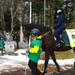 北海道札幌方面浦河署が「騎馬参拝」で馬上から交通・地域安全を啓発