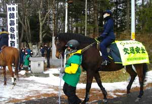 北海道札幌方面浦河署が「騎馬参拝」で馬上から交通・地域安全を啓発