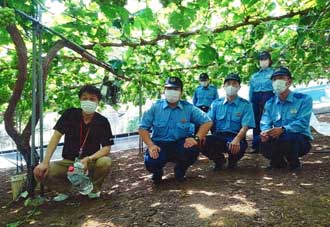  岡山県玉島署の若手が果樹園で体験研修