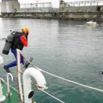 北海道警がG7広島サミット見据え海保と潜水訓練