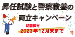 bunner_2023info