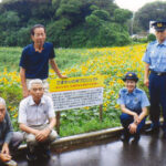 長崎県壱岐署の署員と地域住民の育てたヒマワリが満開