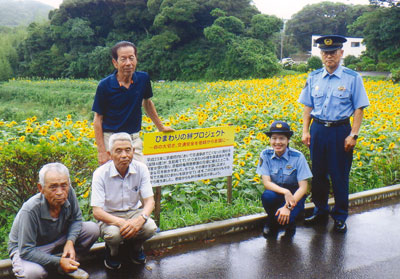 長崎県壱岐署の署員と地域住民の育てたヒマワリが満開