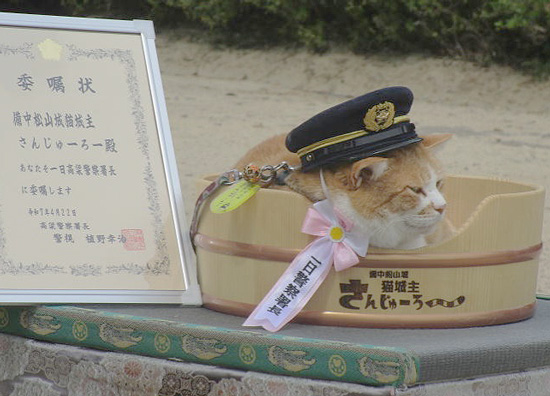 備中松山城の猫城主「さんじゅーろー」が一日警察署長に　岡山県高梁署が啓発活動