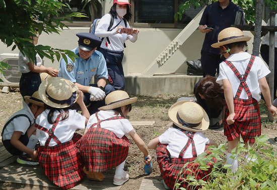 「大きくなあれ」園児が交通安全への願い込め　大阪府北堺署でひまわりの苗植え