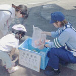 宮城県仙台南署が「ヘルメットかぶっと（カブト）作戦」　カブトムシで着用呼びかけ