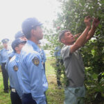 青森県黒石署がリンゴ栽培の教養と作業体験行う　盗難等被害を踏まえ