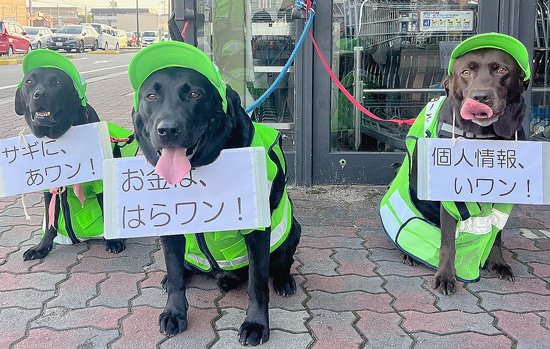 「詐欺にあワン!」　ラブラドール3匹が呼びかけ　愛知県西尾署の啓発キャンペーンで