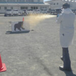 熊の出没に備え　群馬県警が撃退用スプレーの噴射要領を確認