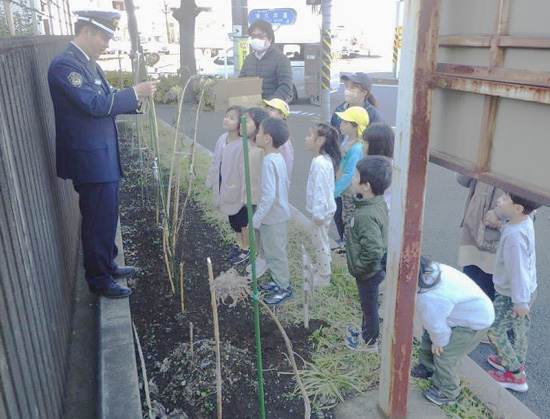 神奈川県多摩署のひまわりの絆プロジェクトで保育園児が種を収穫