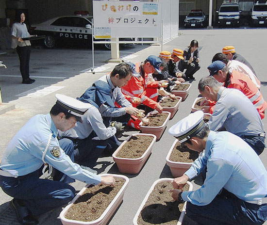 静岡県警高速隊が「ひまわりの絆プロジェクト」を開始