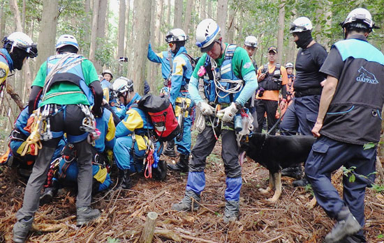 愛知県設楽・新城署が山岳遭難救助訓練